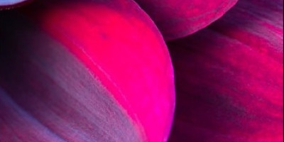 Prečo balíme naše výrobky do Biofotonického skla Prečo balíme naše výrobky do Biofotonického skla