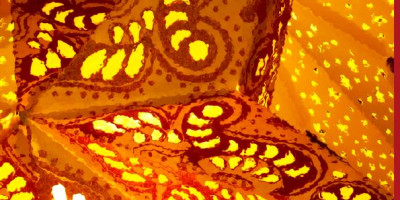 Kolagén: Ako ho správne užívať, aby bol čo najučinnejší Kolagén: Ako ho správne užívať, aby bol čo najučinnejší