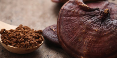 Čínske liečivé huby na ecolife.sk Čínske liečivé huby na ecolife.sk