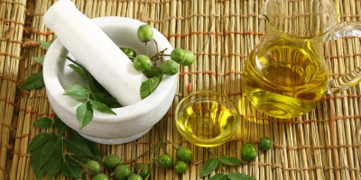 Objevte sílu Nimbového oleje: Váš přirozený pomocník pro zdraví a krásu Objevte sílu Nimbového oleje: Váš přirozený pomocník pro zdraví a krásu