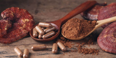 Reishi: Objevte tajemství  Reishi: Objevte tajemství