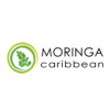 Moringa Caribbean