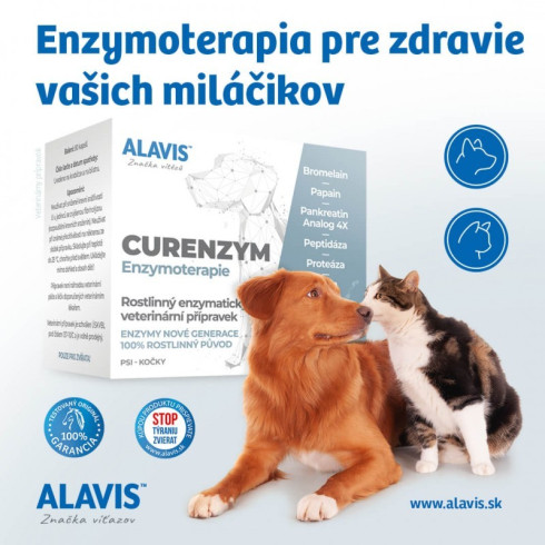 Alavis™ Curenzym Enzymoterapia 80cps