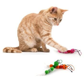 Modern Cat - Veselý had s peříčky