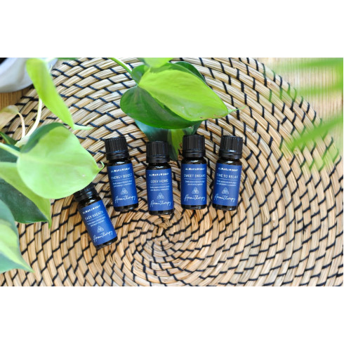 Směs BIO esenciálních olejů - Easy Breath 10ml