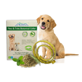 Antiparazitný bylinný obojok 1ks, pre psíkov a šteniatka