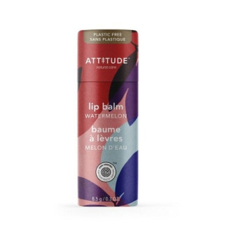 Prírodný balzam na pery ATTITUDE Leaves bar - s vôňou melónu, 8,5g