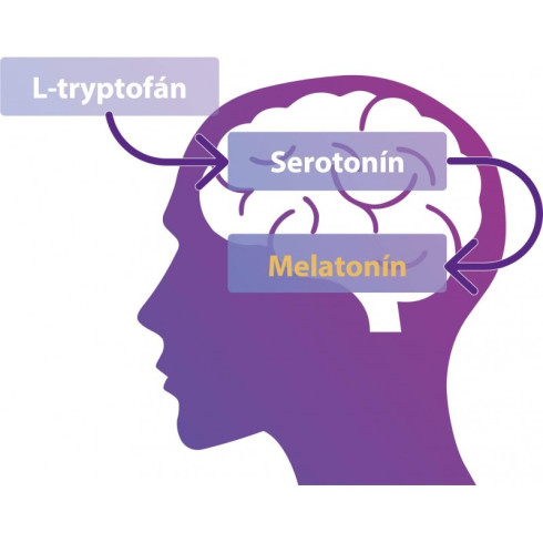 Barny’s HypnoX KompleX Melatonín 30cps
