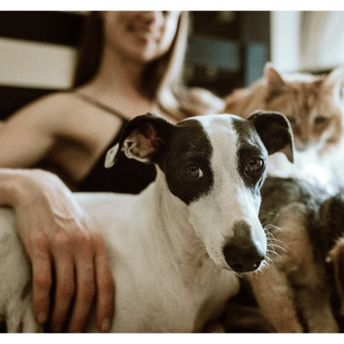 Aktivní uhlí Biochar - prášek 1200g, pro zvířata