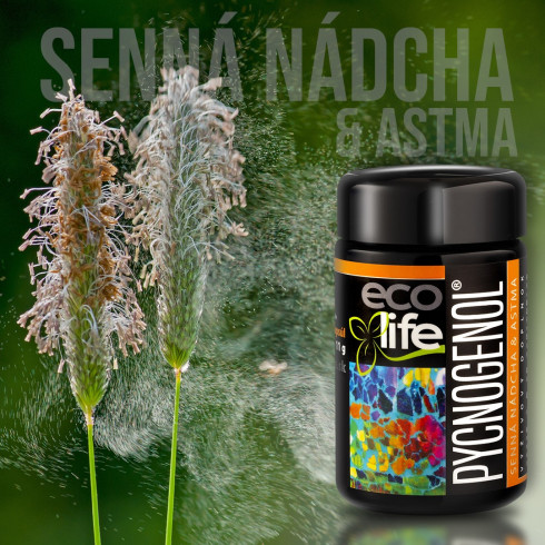 Pycnogenol® Senná nádcha & Astma 50ks Pycnogenol® Senná nádcha & Astma 50ks