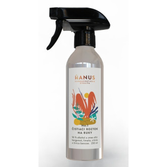 Přírodní čistící roztok na ruce 250ml Přírodní čistící roztok na ruce 250ml