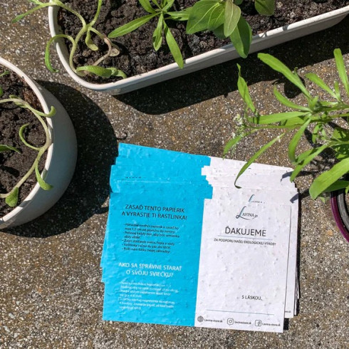 Sójová sviečka - Svieža 130g, Šťavnatá slivka & Šalvia