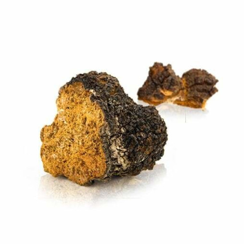 Chaga 100g - sušená Chaga 100g - sušená