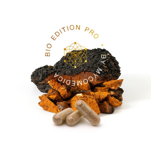 Chaga PRO 90ks Chaga PRO 90ks