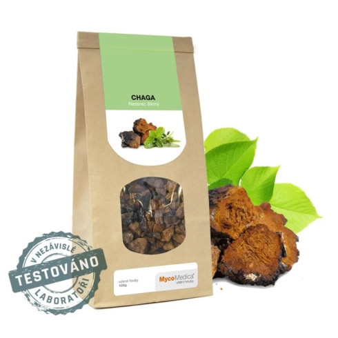 Chaga 100g - sušená