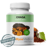 Chaga 30% 90ks