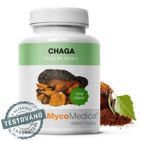 Chaga 30% 90ks