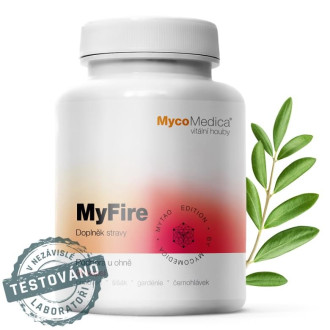 MyFire 90ks