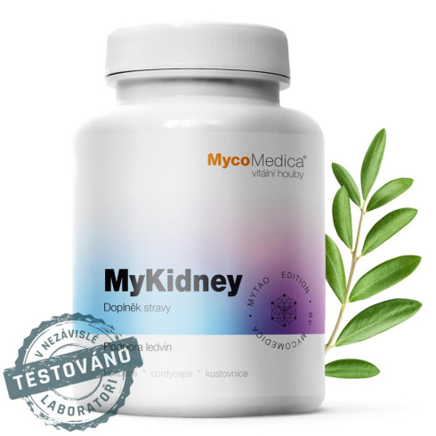 MyKidney 90ks