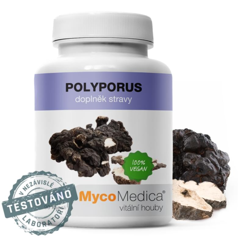 Polyporus 30% 90ks