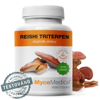 Reishi Triterpen 90ks