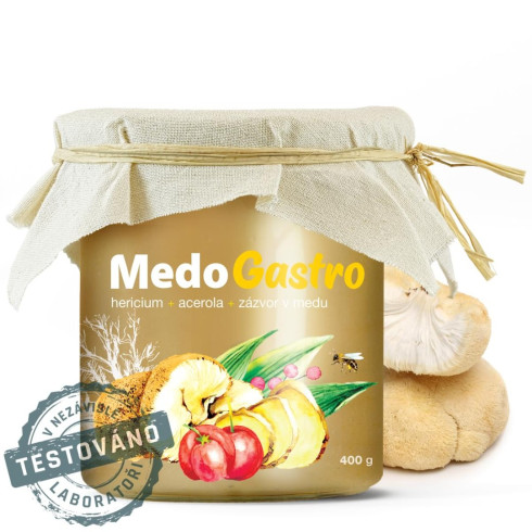 Včelí med - MedoGastro 400g