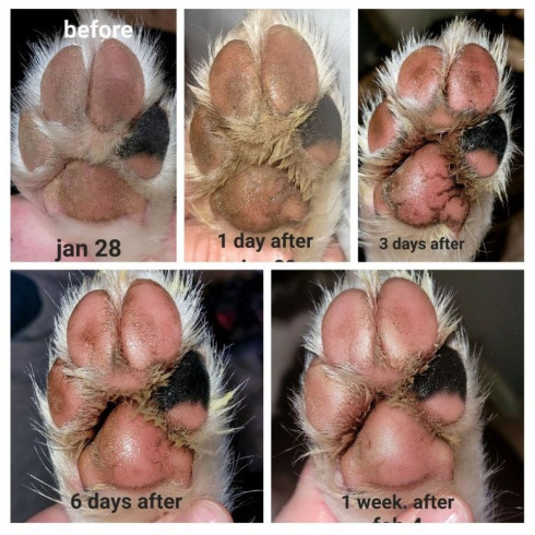 Balzam na labky - Paw Soother 30ml