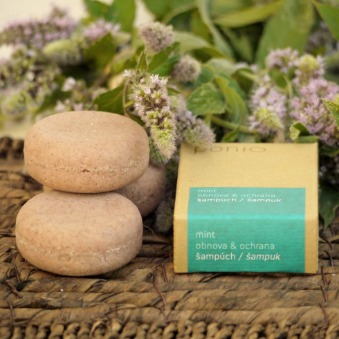 Šampúch - Mint obnova & ochrana 30g
