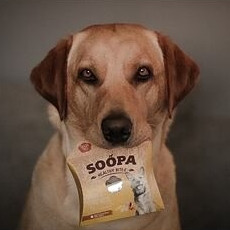 Pamlsky Healthy Bites - Banán & arašidové maslo, 50g