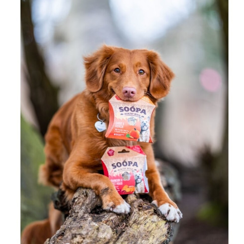 Pamlsky Healthy Bites - Brusnice & sladké zemiaky, 50g