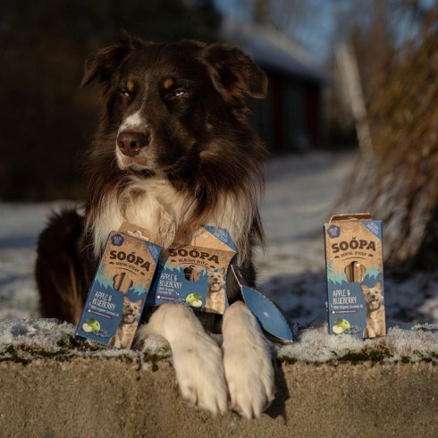 Pamlsky Healthy Bites - Jablko & Čučoriedka, 50g