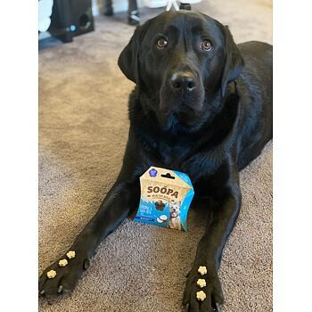 Pamlsky Healthy Bites - Kokos & chia semienka, 50g