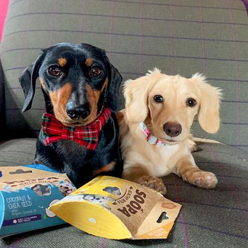 Pamlsky Healthy Bites - Kokos & chia semienka, 50g