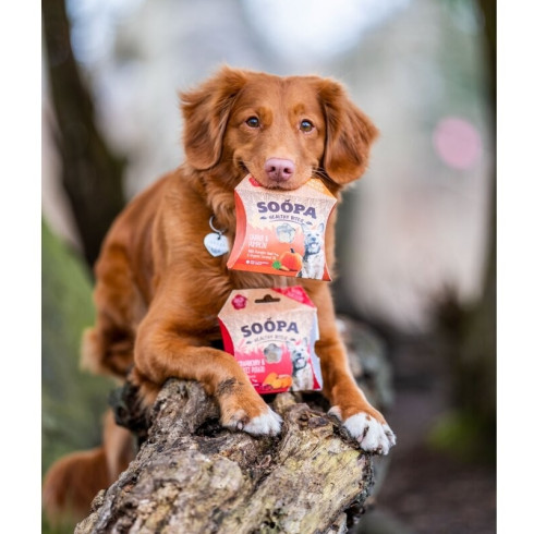 Pamlsky Healthy Bites - Mrkva & tekvica, 50g