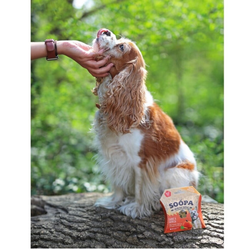 Pamlsky Healthy Bites - Mrkva & tekvica, 50g