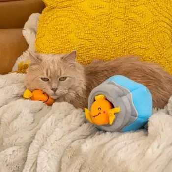 Burrow - Rybky v akvárku