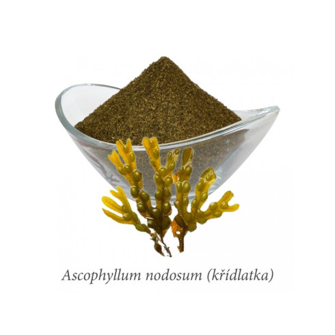 Anti-Plaque Na zubný kameň 50g - pre psy a mačky 