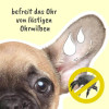 MilbenEx Ohrreiniger 20 ml, für Hunde und Katzen 