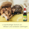 MilbenEx Ohrreiniger 20 ml, für Hunde und Katzen 