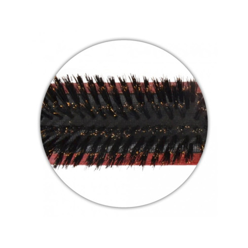 Kefa štetinová úzka