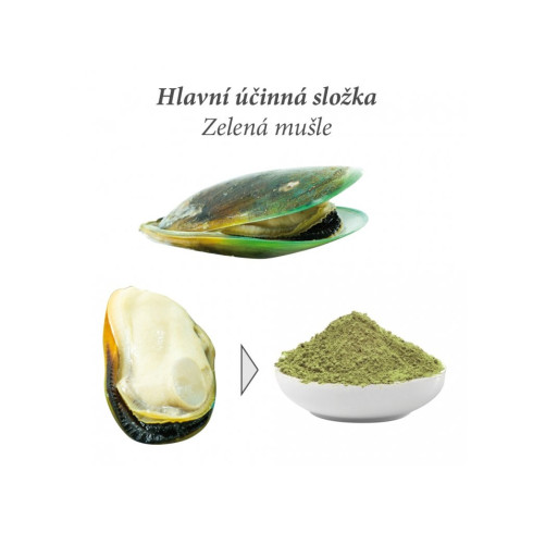 Kĺbová výživa Arthro Green Classic 70g - pre psy a mačky 