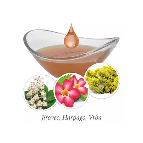 Kloubní výživa z bylinných tinktur - ArthroGreen Lauf-fit Pro 50ml, pro psy a kočky