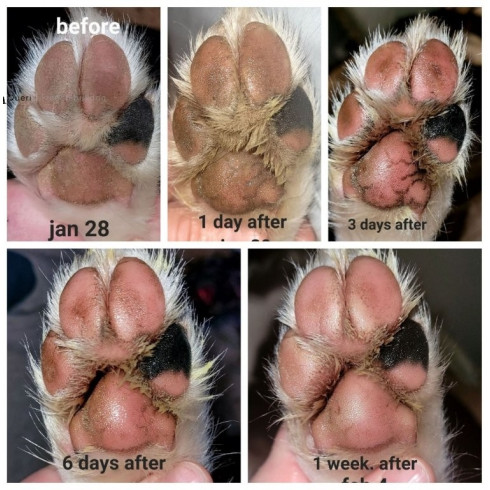 Balzám na tlapky - Paw Soother 4,5ml, cestovní balení