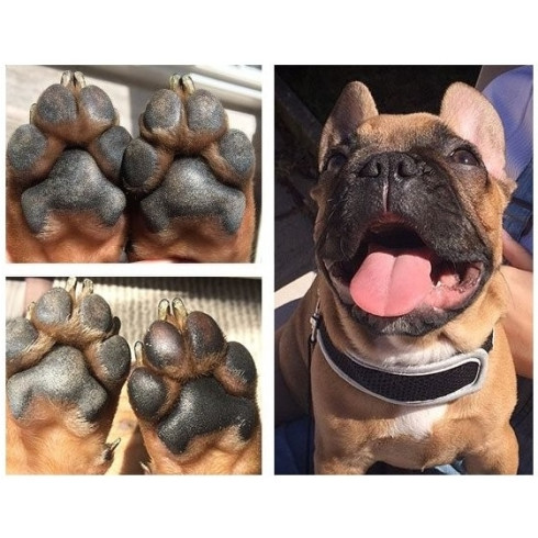 Balzám na tlapky - Paw Soother 4,5ml, cestovní balení