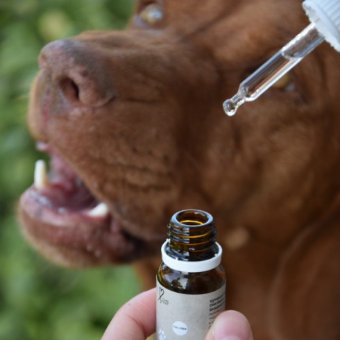 CBD Olej Pet 5% - Tuna 10ml, pro zvířata