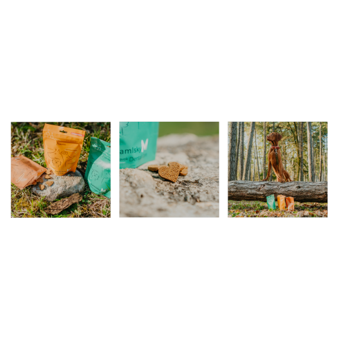 CBD Pamlsky - Recovery 100g, S - malé plemeno