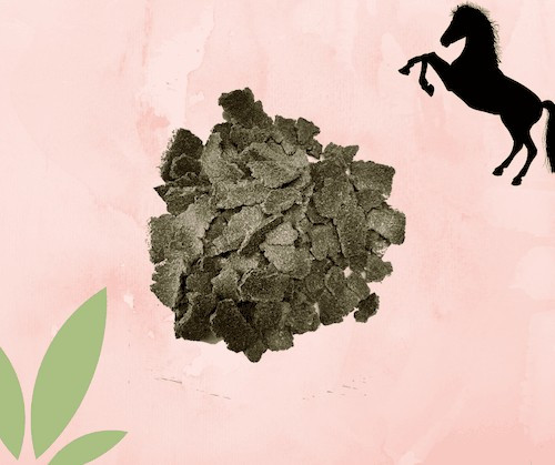 Konopné pokrutiny - 1kg