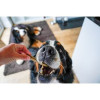Dentální tyčinky - Banán & dýně se lněnými semínky, 100g,