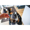Dentální tyčinky Puppy s banánem a dýní, 100g Dentální tyčinky Puppy s banánem a dýní, 100g