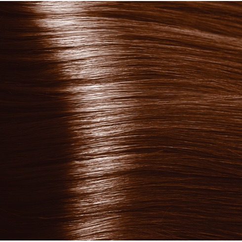 Barva na vlasy Henna - Chestnut 100g